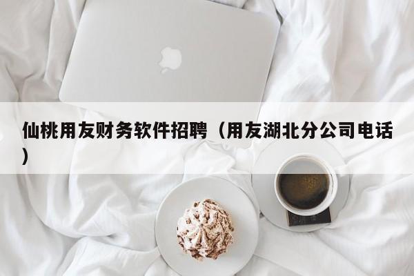 仙桃用友财务软件招聘（用友湖北分公司电话）