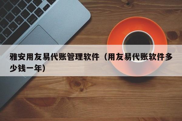 雅安用友易代账管理软件（用友易代账软件多少钱一年）