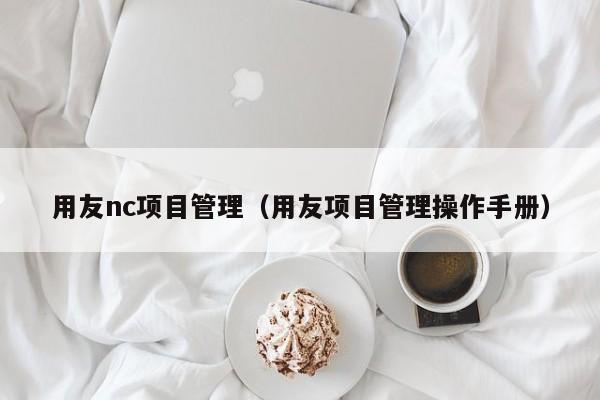 用友nc项目管理（用友项目管理操作手册）