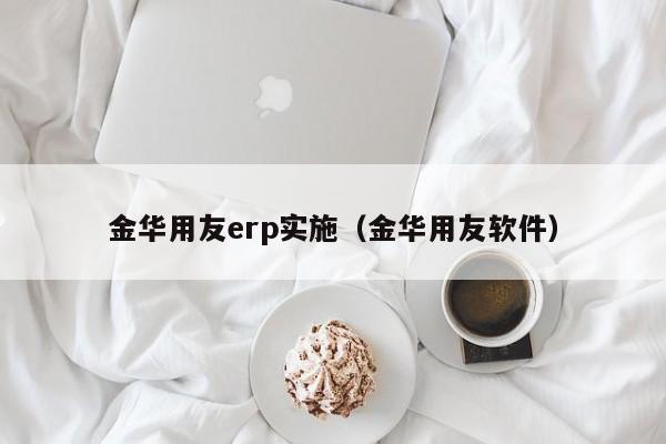 金华用友erp实施（金华用友软件）