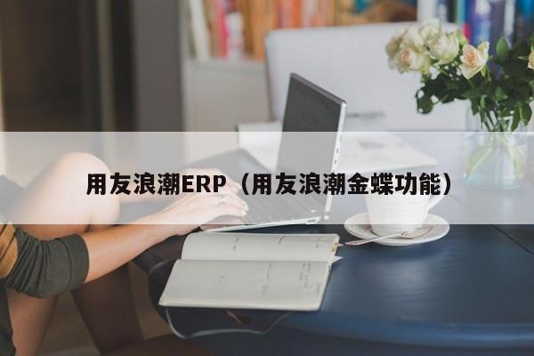 用友浪潮ERP（用友浪潮金蝶功能）