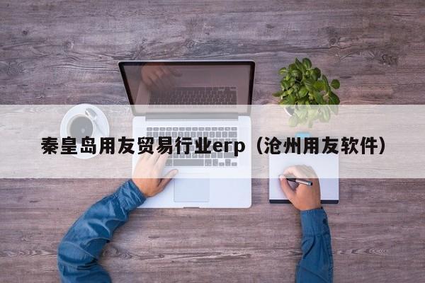 秦皇岛用友贸易行业erp（沧州用友软件）