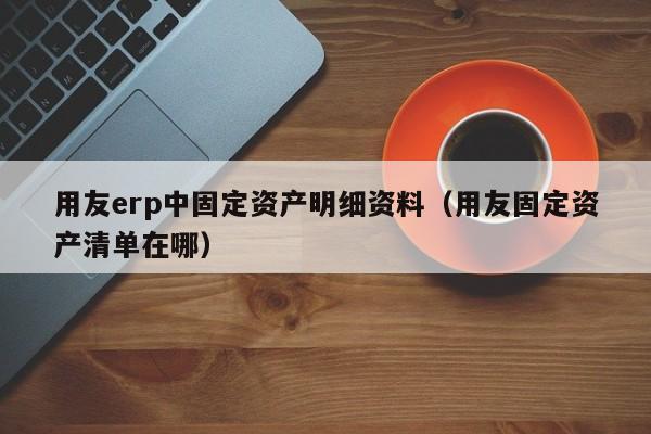 用友erp中固定资产明细资料（用友固定资产清单在哪）