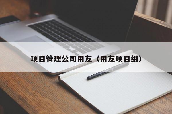 项目管理公司用友（用友项目组）