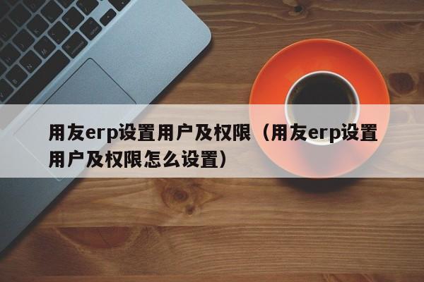 用友erp设置用户及权限（用友erp设置用户及权限怎么设置）