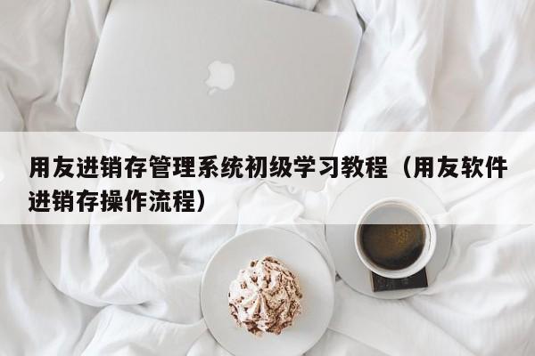 用友进销存管理系统初级学习教程（用友软件进销存操作流程）