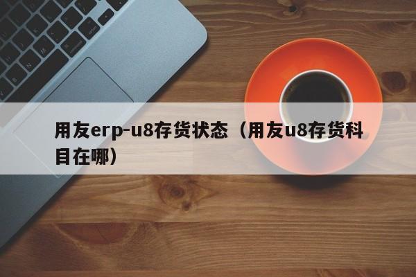 用友erp-u8存货状态（用友u8存货科目在哪）