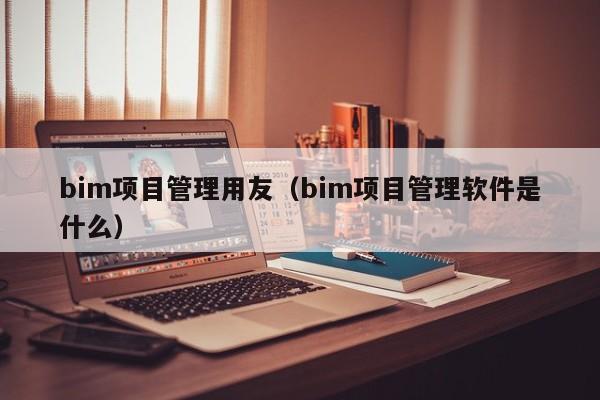 bim项目管理用友（bim项目管理软件是什么）