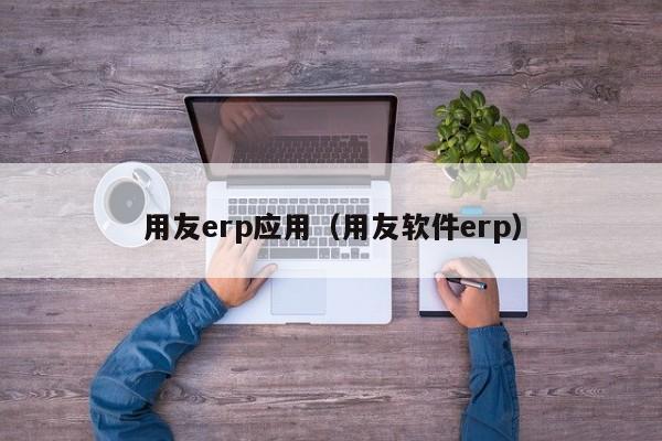 用友erp应用（用友软件erp）