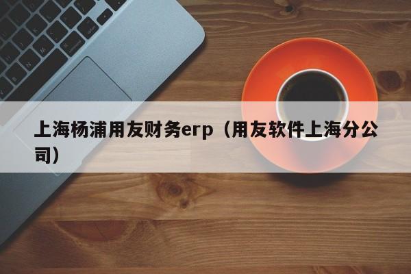 上海杨浦用友财务erp（用友软件上海分公司）