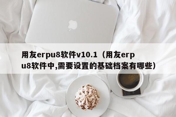 用友erpu8软件v10.1（用友erpu8软件中,需要设置的基础档案有哪些）