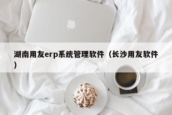 湖南用友erp系统管理软件（长沙用友软件）