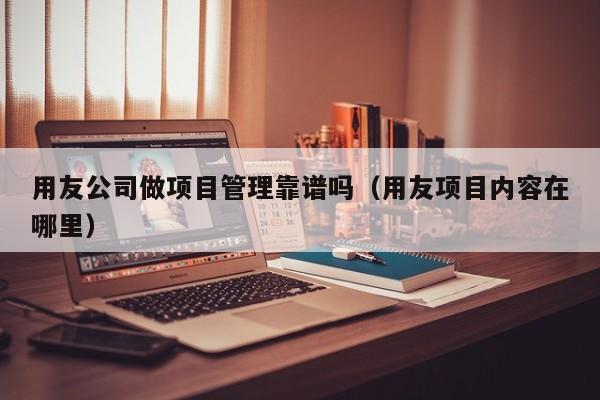 用友公司做项目管理靠谱吗（用友项目内容在哪里）