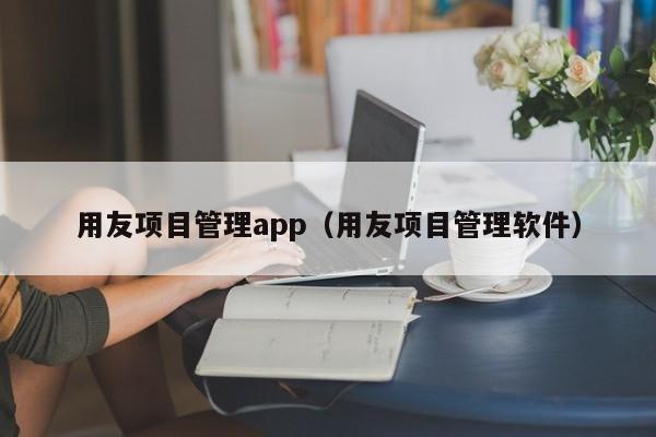 用友项目管理app（用友项目管理软件）