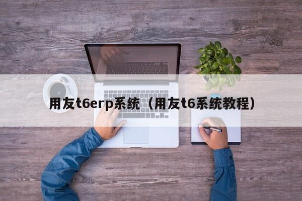 用友t6erp系统（用友t6系统教程）