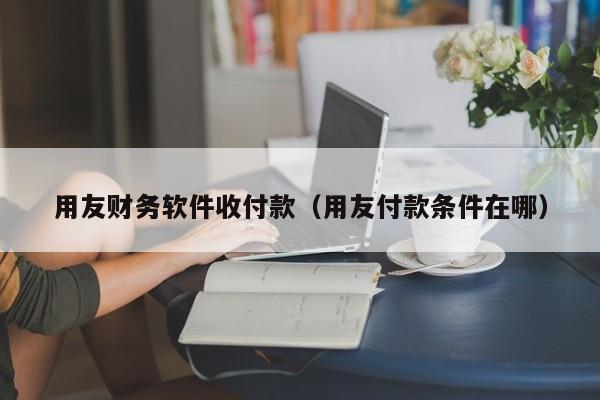 用友财务软件收付款（用友付款条件在哪）