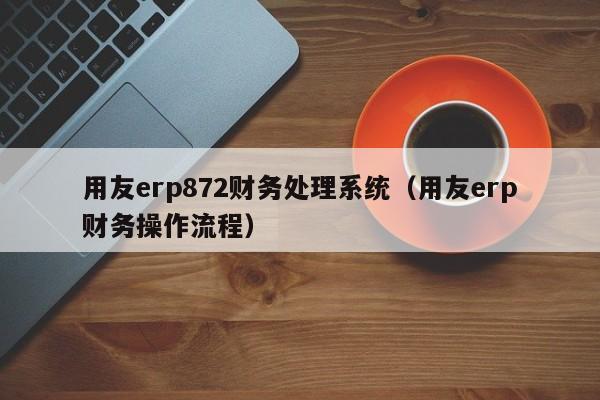 用友erp872财务处理系统（用友erp财务操作流程）