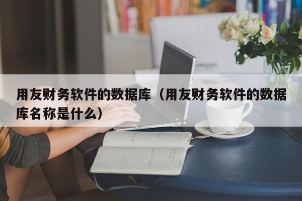 用友财务软件的数据库（用友财务软件的数据库名称是什么）