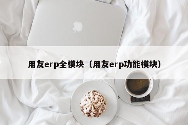 用友erp全模块（用友erp功能模块）