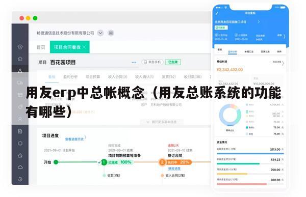 用友erp中总帐概念（用友总账系统的功能有哪些）