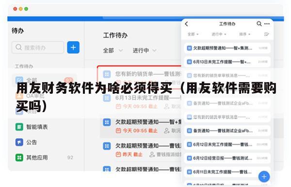 用友财务软件为啥必须得买（用友软件需要购买吗）