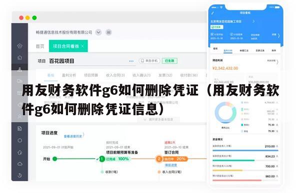 用友财务软件g6如何删除凭证（用友财务软件g6如何删除凭证信息）