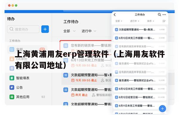 上海黄浦用友erp管理软件（上海用友软件有限公司地址）