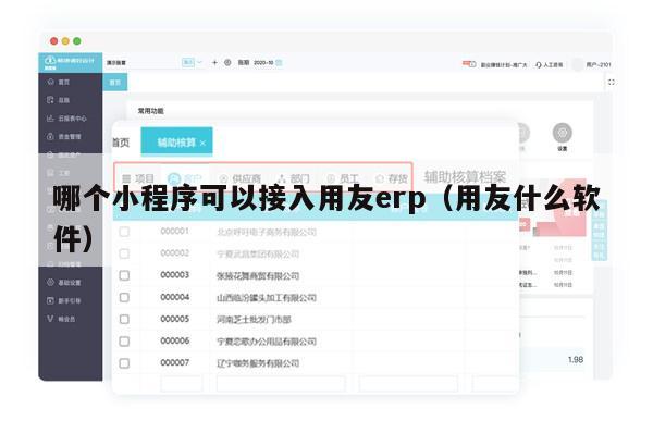 哪个小程序可以接入用友erp（用友什么软件）