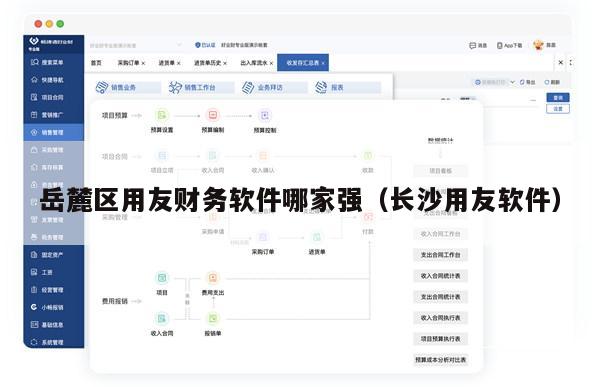 岳麓区用友财务软件哪家强（长沙用友软件）