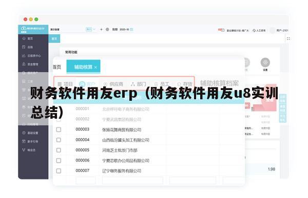 财务软件用友erp（财务软件用友u8实训总结）