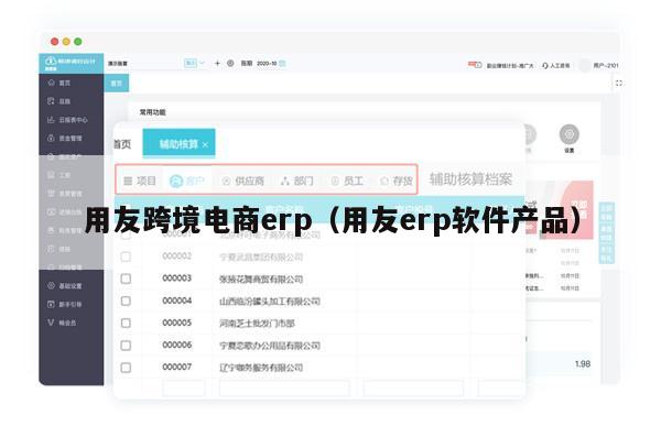 用友跨境电商erp（用友erp软件产品）