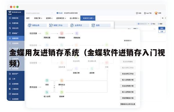 金蝶用友进销存系统（金蝶软件进销存入门视频）