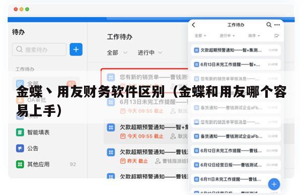 金蝶丶用友财务软件区别（金蝶和用友哪个容易上手）