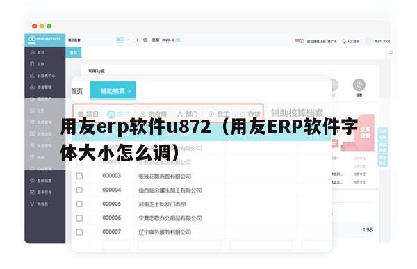 用友erp软件u872（用友ERP软件字体大小怎么调）