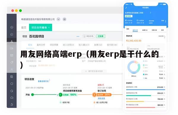 用友网络高端erp（用友erp是干什么的）