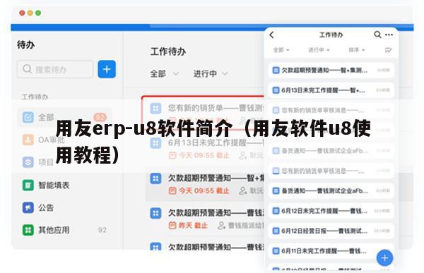 用友erp-u8软件简介（用友软件u8使用教程）