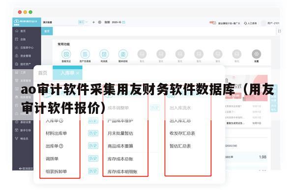 ao审计软件采集用友财务软件数据库（用友审计软件报价）