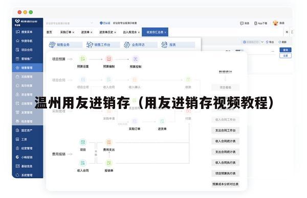 温州用友进销存（用友进销存视频教程）