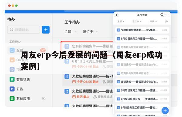 用友erp今后发展的问题（用友erp成功案例）