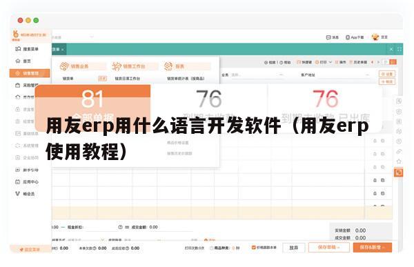 用友erp用什么语言开发软件（用友erp使用教程）