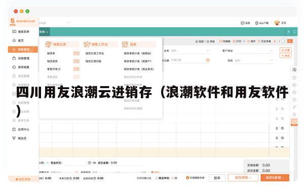 四川用友浪潮云进销存（浪潮软件和用友软件）