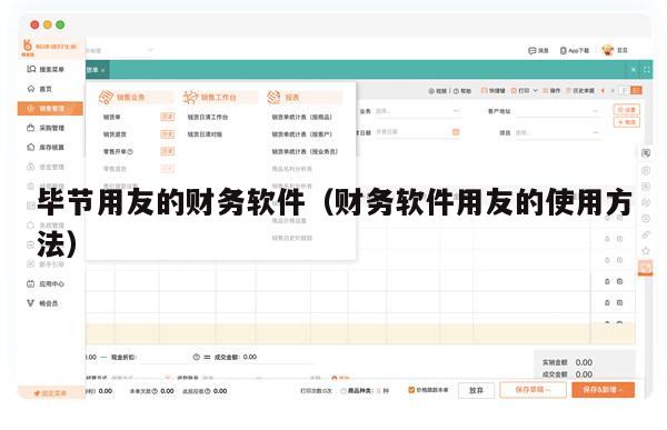 毕节用友的财务软件（财务软件用友的使用方法）