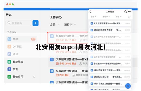 北安用友erp（用友河北）