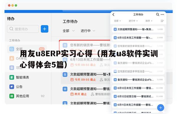 用友u8ERP实习心得（用友u8软件实训心得体会5篇）