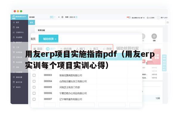 用友erp项目实施指南pdf（用友erp实训每个项目实训心得）