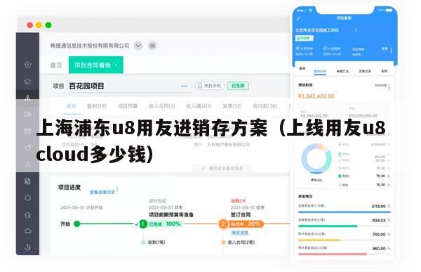 上海浦东u8用友进销存方案（上线用友u8cloud多少钱）