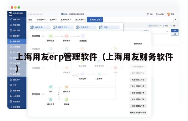 上海用友erp管理软件（上海用友财务软件）