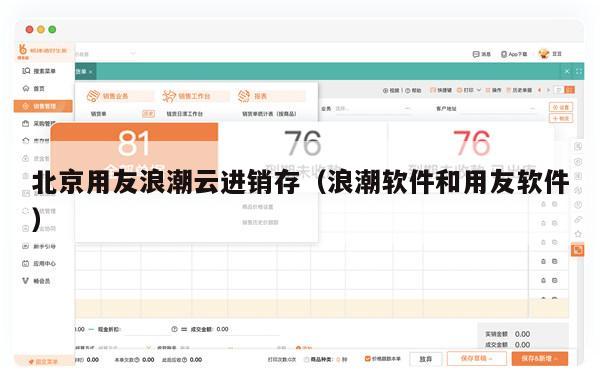 北京用友浪潮云进销存（浪潮软件和用友软件）