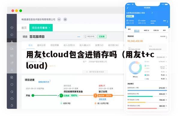 用友tcloud包含进销存吗（用友t+cloud）