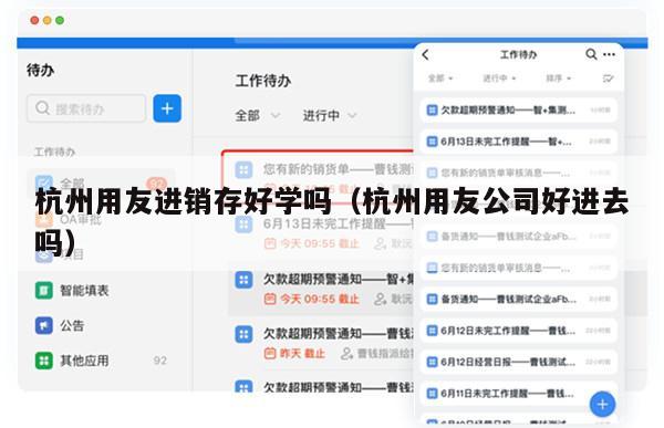 杭州用友进销存好学吗（杭州用友公司好进去吗）